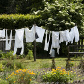 Clothing hanging on a line to dry in a garden