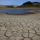 Low water levels at the Nicasio Reservoir in May of this year in California because of exceptional drought