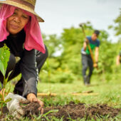 Woman planting a tree in Indonesia
