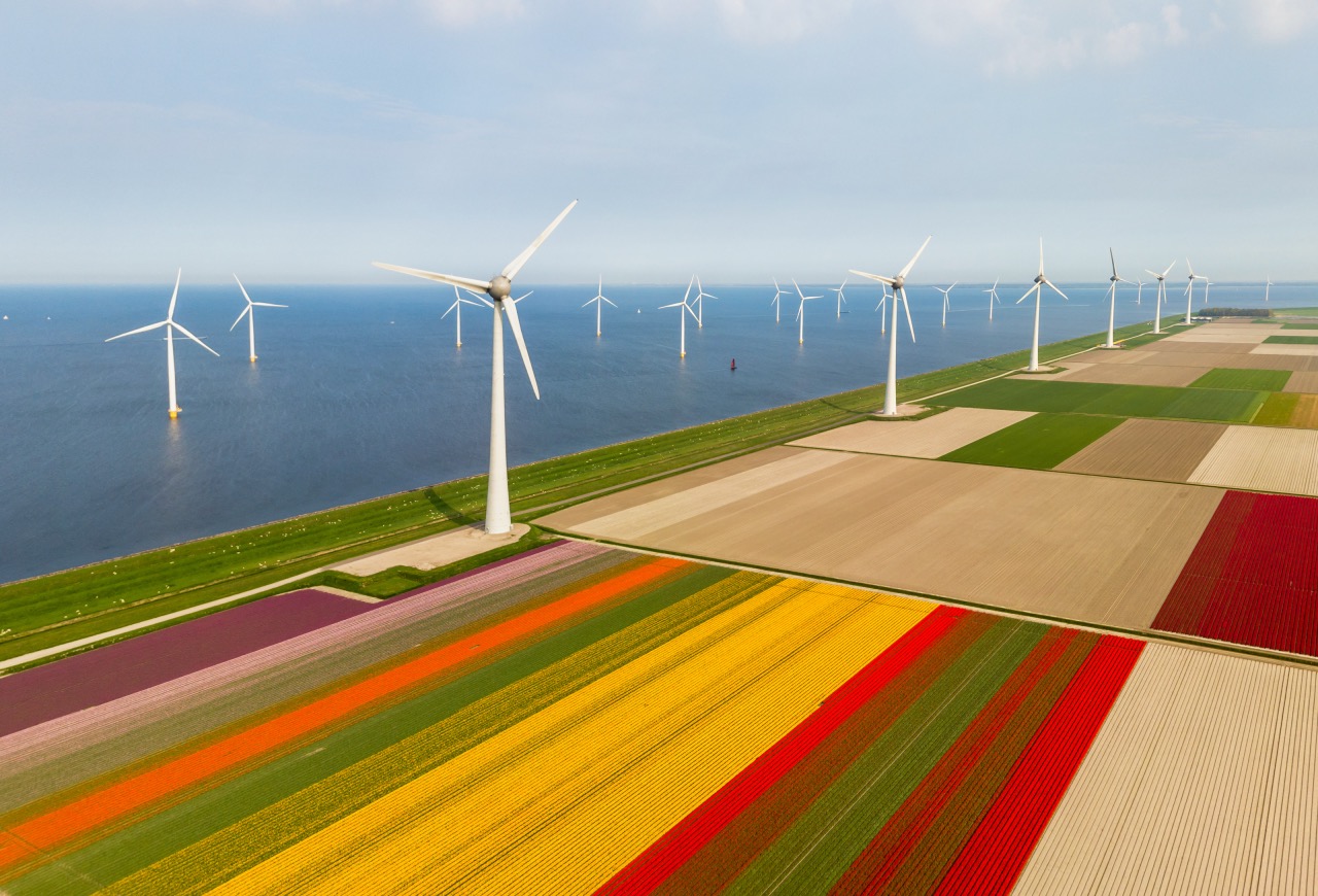 Aerial view of tulip fields and wind turbines in the Netherlands