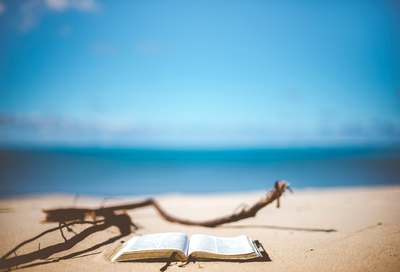 summer beach reads books sea ocean