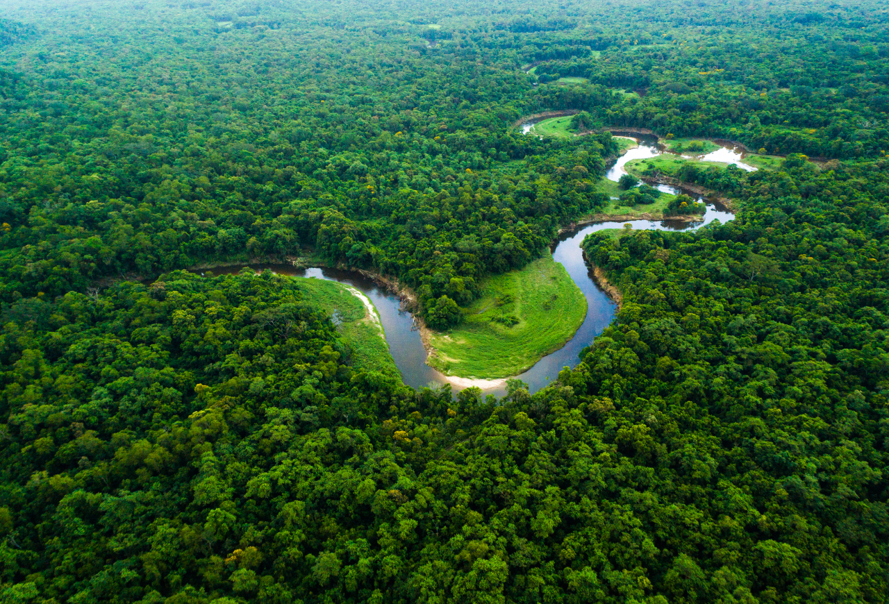 Amazon rainforest Brazil