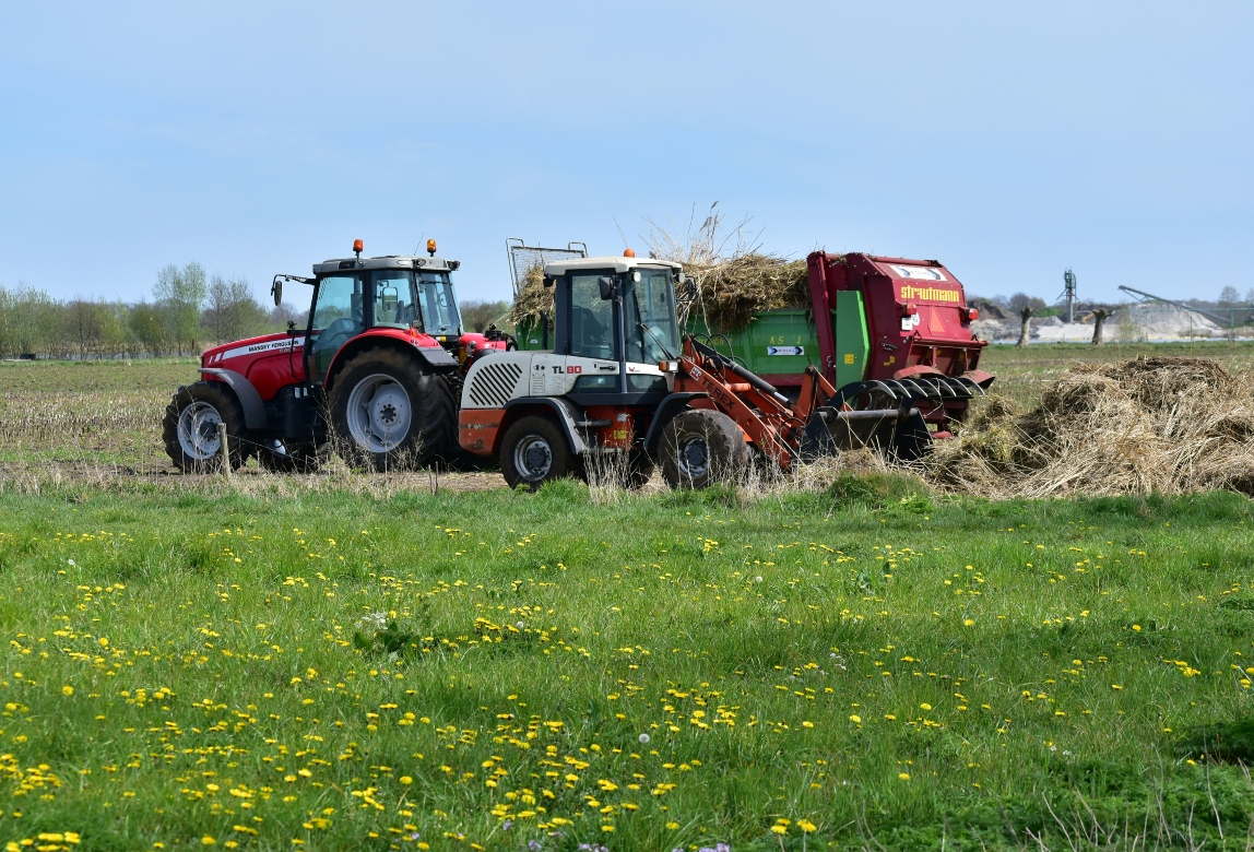 Dutch farmers working in the field