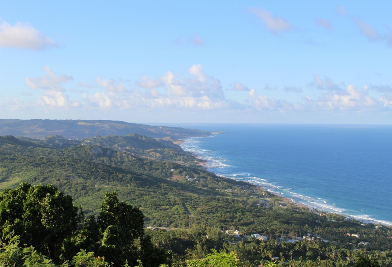 Barbados landscape beach sea water ocean