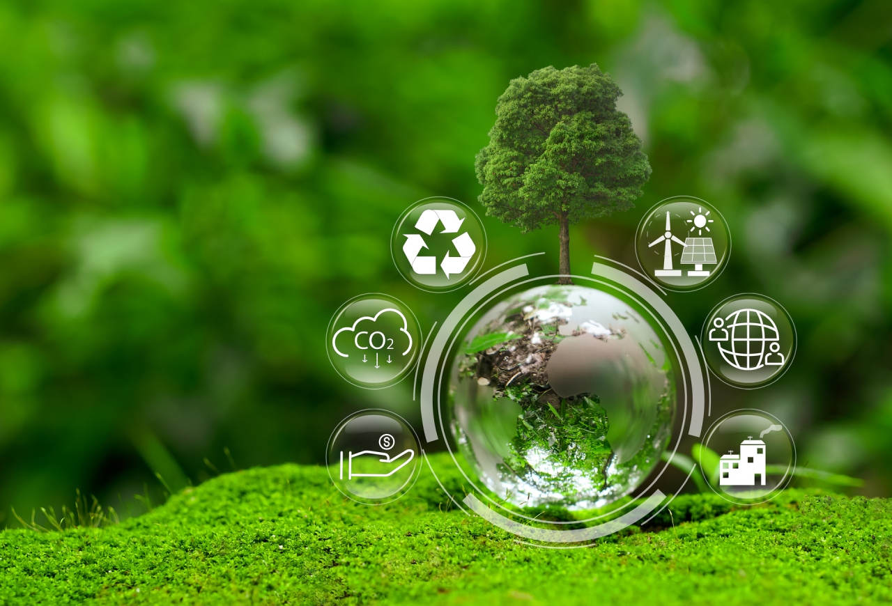 impact investing green trees SDG earth climate money world